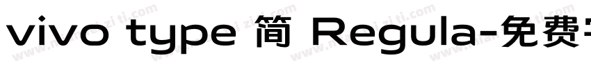 vivo type 简 Regula字体转换